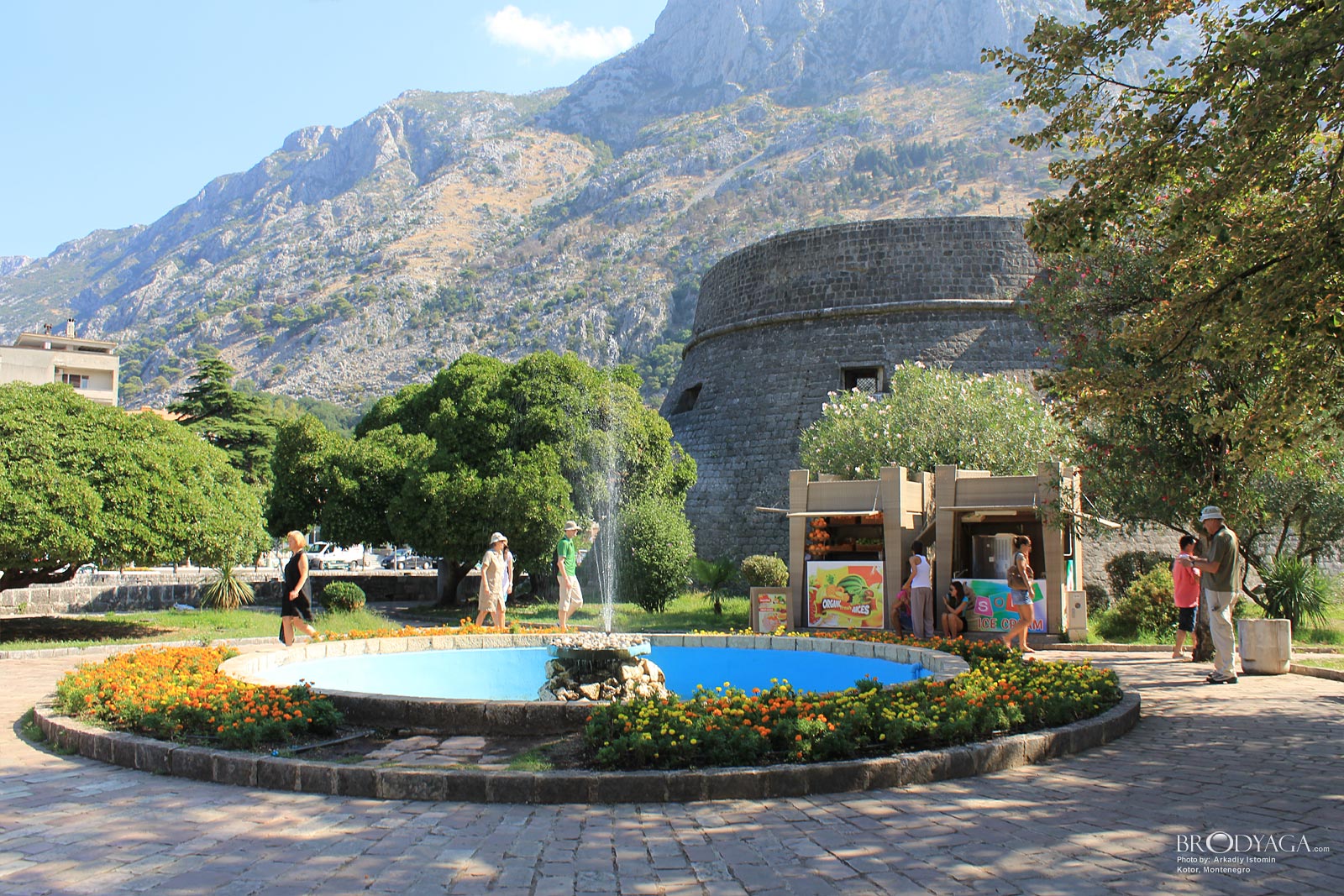 Kotor